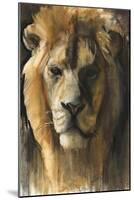 Asiatic Lion, 2015-Mark Adlington-Mounted Giclee Print