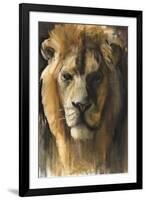 Asiatic Lion, 2015-Mark Adlington-Framed Giclee Print