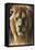Asiatic Lion, 2015-Mark Adlington-Framed Stretched Canvas