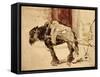 Asinello-Henri de Toulouse-Lautrec-Framed Stretched Canvas