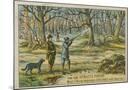 Wood Mount