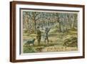 Brown Frame