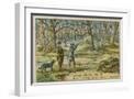 White Frame