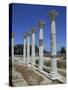 Asklepieion, Kos, Dodecanese, Greek Islands, Greece, Europe-Jenner Michael-Stretched Canvas