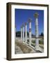 Asklepieion, Kos, Dodecanese, Greek Islands, Greece, Europe-Jenner Michael-Framed Photographic Print