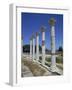 Asklepieion, Kos, Dodecanese, Greek Islands, Greece, Europe-Jenner Michael-Framed Photographic Print