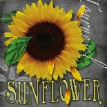 Sunflowers Chalkboard-Asmaa’ Murad-Giclee Print