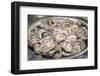 Asnelle Bay Oysters, Cabourg, Normandy, France-Jim Engelbrecht-Framed Photographic Print