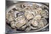 Asnelle Bay Oysters, Cabourg, Normandy, France-Jim Engelbrecht-Mounted Photographic Print