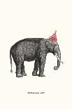 Party Elephant-Aspall Gwen-Giclee Print