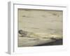 Asparagus, 1880-Edouard Manet-Framed Giclee Print