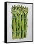 Asparagus, 2013-Jennifer Abbott-Framed Stretched Canvas