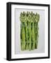 Asparagus, 2013-Jennifer Abbott-Framed Giclee Print