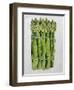 Asparagus, 2013-Jennifer Abbott-Framed Giclee Print