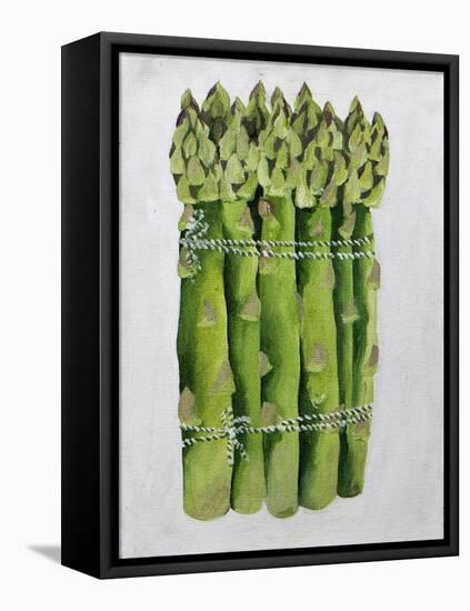 Asparagus, 2013-Jennifer Abbott-Framed Stretched Canvas