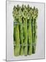 Asparagus, 2013-Jennifer Abbott-Mounted Giclee Print