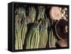 Asparagus and Mushrooms at Stall in Pike Place Market, Seattle, Washington, USA-Connie Ricca-Framed Stretched Canvas