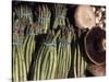 Asparagus and Mushrooms at Stall in Pike Place Market, Seattle, Washington, USA-Connie Ricca-Stretched Canvas