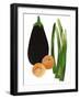 asparagus, apricots,aubergine-Sarah Thompson-Engels-Framed Giclee Print