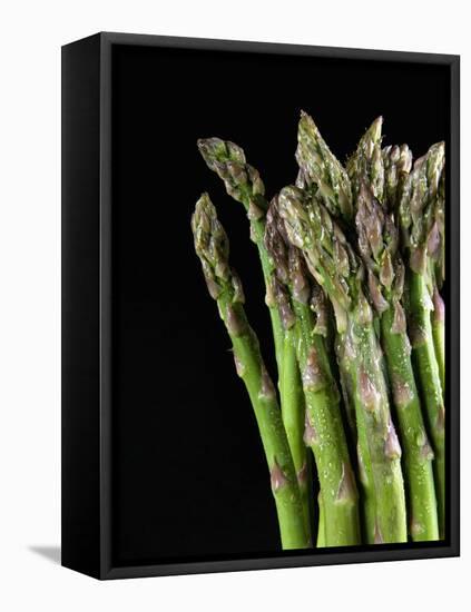 Asparagus Bundle (Asparagus Officinalis), Italy-Nico Tondini-Framed Stretched Canvas