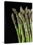 Asparagus Bundle (Asparagus Officinalis), Italy-Nico Tondini-Stretched Canvas