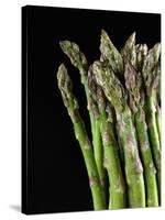 Asparagus Bundle (Asparagus Officinalis), Italy-Nico Tondini-Stretched Canvas
