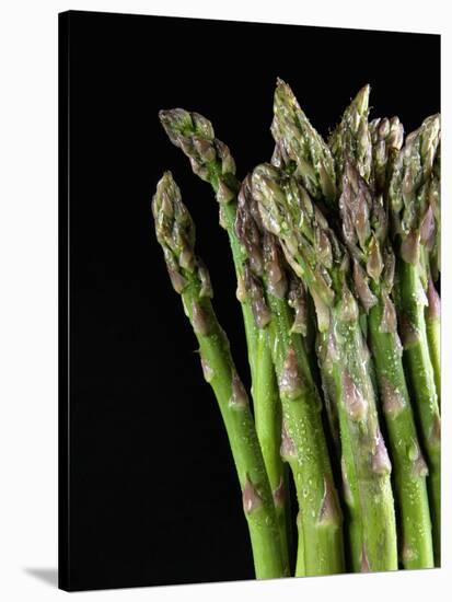 Asparagus Bundle (Asparagus Officinalis), Italy-Nico Tondini-Stretched Canvas