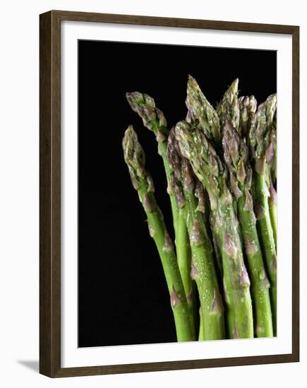 Asparagus Bundle (Asparagus Officinalis), Italy-Nico Tondini-Framed Premium Photographic Print