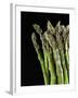 Asparagus Bundle (Asparagus Officinalis), Italy-Nico Tondini-Framed Premium Photographic Print