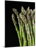 Asparagus Bundle (Asparagus Officinalis), Italy-Nico Tondini-Mounted Premium Photographic Print