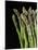 Asparagus Bundle (Asparagus Officinalis), Italy-Nico Tondini-Mounted Premium Photographic Print