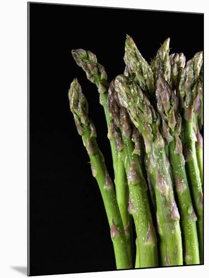 Asparagus Bundle (Asparagus Officinalis), Italy-Nico Tondini-Mounted Premium Photographic Print