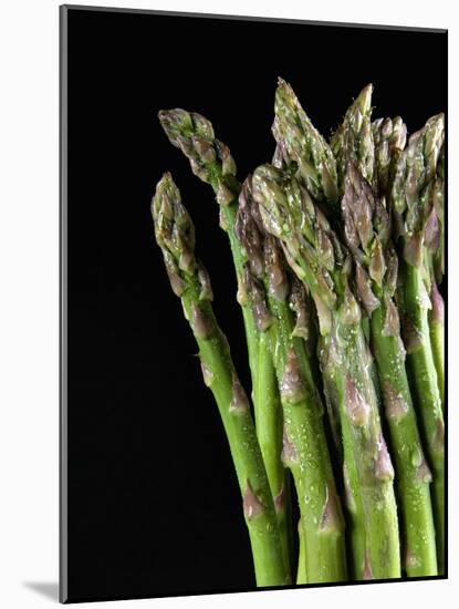 Asparagus Bundle (Asparagus Officinalis), Italy-Nico Tondini-Mounted Photographic Print