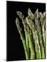 Asparagus Bundle (Asparagus Officinalis), Italy-Nico Tondini-Mounted Photographic Print