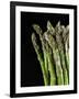 Asparagus Bundle (Asparagus Officinalis), Italy-Nico Tondini-Framed Photographic Print