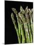 Asparagus Bundle (Asparagus Officinalis), Italy-Nico Tondini-Mounted Photographic Print