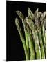 Asparagus Bundle (Asparagus Officinalis), Italy-Nico Tondini-Mounted Photographic Print