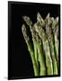 Asparagus Bundle (Asparagus Officinalis), Italy-Nico Tondini-Framed Photographic Print