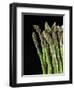 Asparagus Bundle (Asparagus Officinalis), Italy-Nico Tondini-Framed Photographic Print