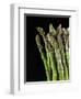 Asparagus Bundle (Asparagus Officinalis), Italy-Nico Tondini-Framed Photographic Print