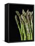 Asparagus Bundle (Asparagus Officinalis), Italy-Nico Tondini-Framed Stretched Canvas