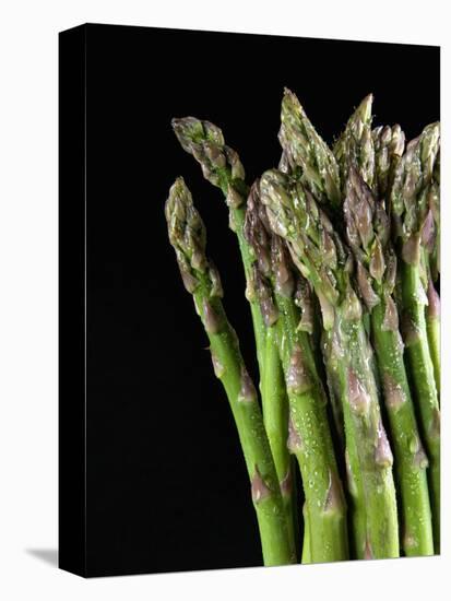 Asparagus Bundle (Asparagus Officinalis), Italy-Nico Tondini-Stretched Canvas