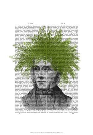 https://imgc.allpostersimages.com/img/posters/asparagus-fern-head-plant-head_u-L-F86P8V0.jpg?artPerspective=n