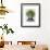 Asparagus Fern Head Plant Head-Fab Funky-Framed Art Print displayed on a wall