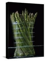 Asparagus in Steamer, 1994-Norman Hollands-Stretched Canvas