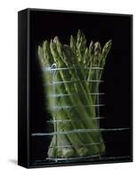 Asparagus in Steamer, 1994-Norman Hollands-Framed Stretched Canvas