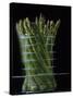 Asparagus in Steamer, 1994-Norman Hollands-Stretched Canvas