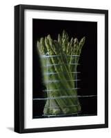 Asparagus in Steamer, 1994-Norman Hollands-Framed Photographic Print