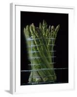 Asparagus in Steamer, 1994-Norman Hollands-Framed Photographic Print