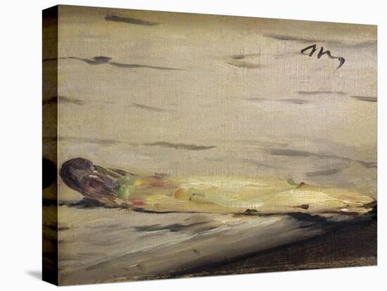 Asparagus (L'Asperge)-Edouard Manet-Stretched Canvas